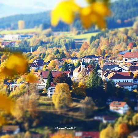 Πανσιόν Haus Vierjahreszeiten Inkl Aktivcard Bayerischer Wald 3*