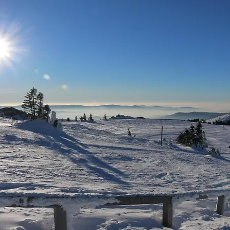 Haus Vierjahreszeiten Inkl Aktivcard Bayerischer Wald 3* Bodenmais