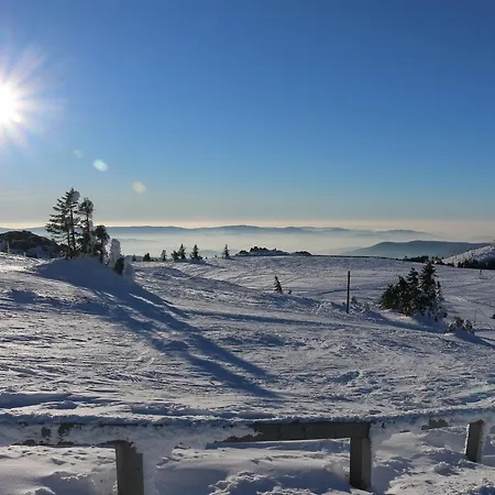 Haus Vierjahreszeiten Inkl Aktivcard Bayerischer Wald Πανσιόν Bodenmais